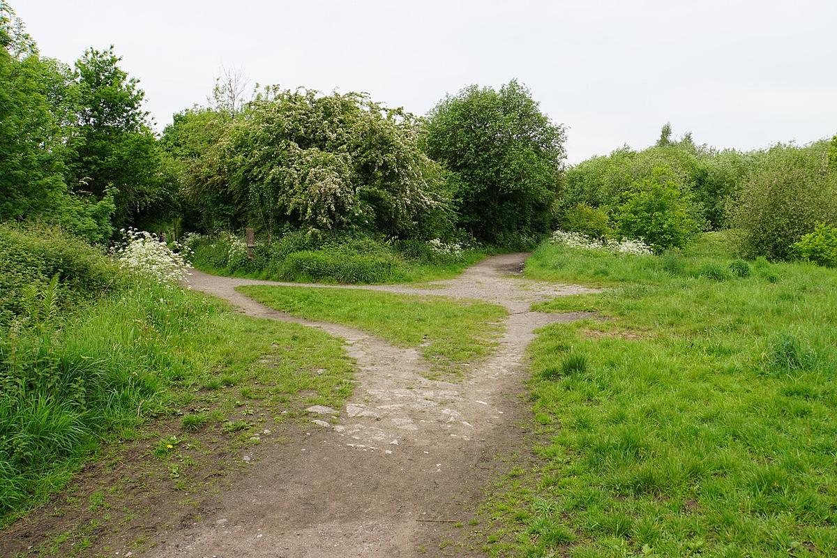 Wellacre Country Park and Jack Lane walk