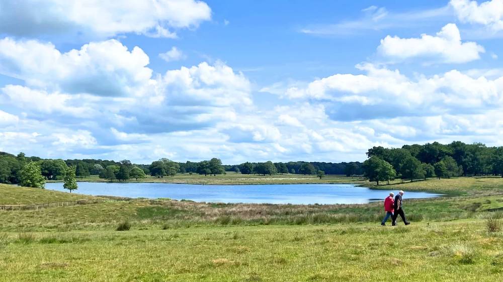 Field to Fork trail
