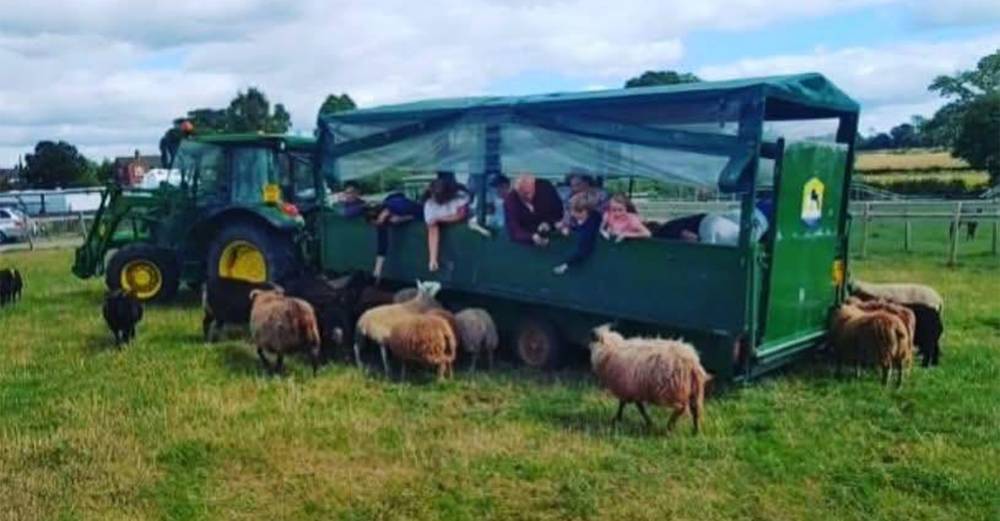 Glebe Farm
